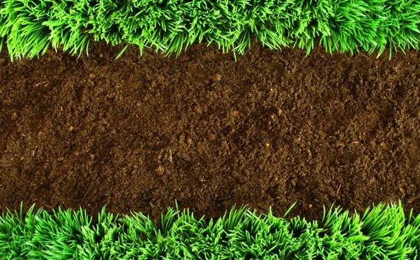 土壤治理/检测可以实现农业良性循环(图1)