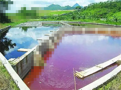 哪些项目在工业废水检测应该测试哪些内容?(图2)